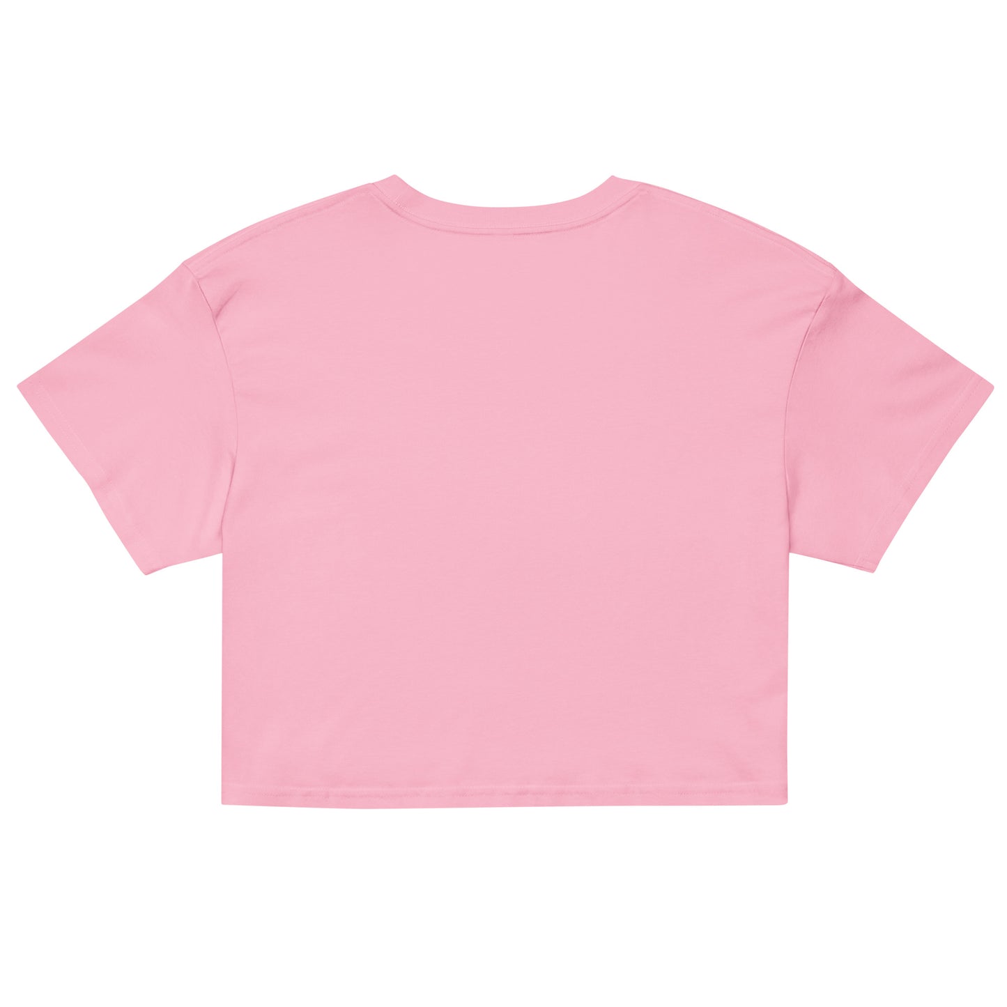 Be A Mountain Women’s crop top