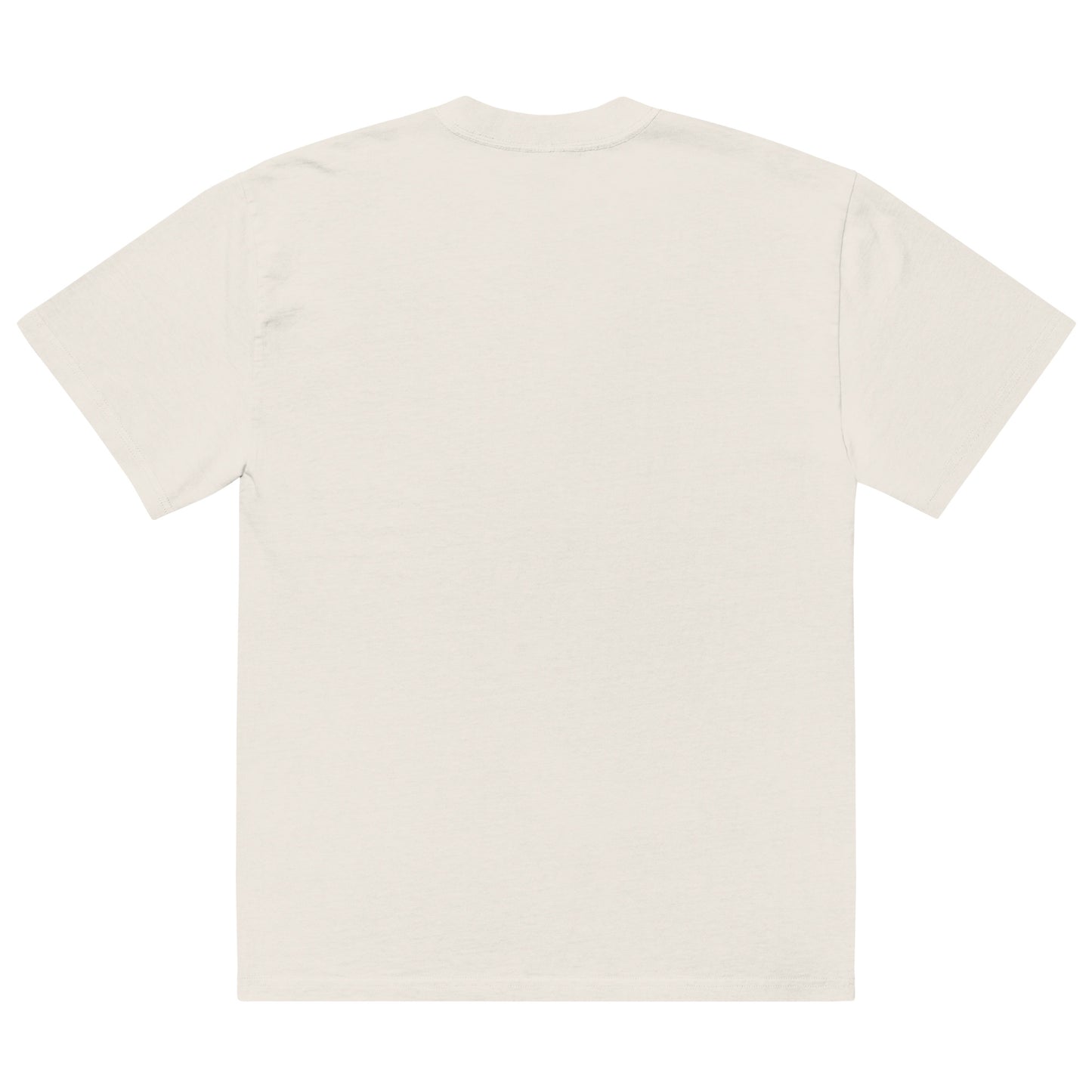 BAMF Oversized Embroidered Faded T-shirt